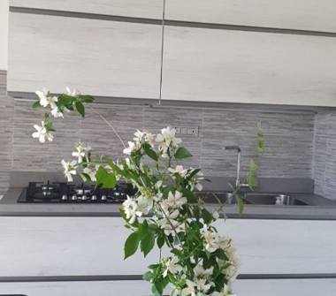 Affitto Stanza Singola a Cecina (Livorno)