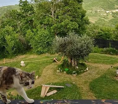 Casa indipendente in vendita a Montemarano (Avellino)