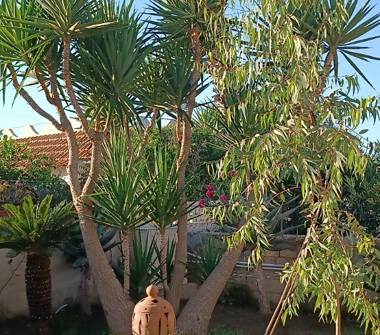 Affitto Villa Vacanze a Pachino, Frazione Granelli, Viale Miramare 25