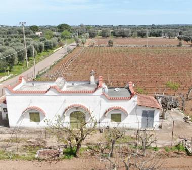 Terreno Agricolo/Coltura in vendita a Sava (Taranto), SP118 2