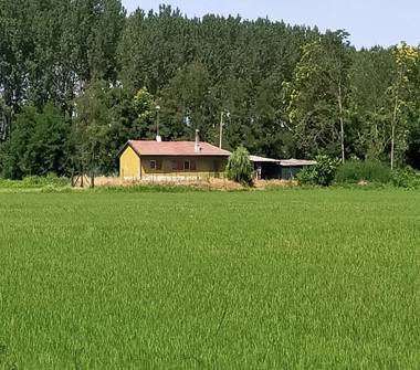 Casa indipendente in vendita a Gropello Cairoli (Pavia)