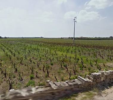 Terreno Agricolo/Coltura in vendita a Nardò (Lecce), Via dei Bernardini