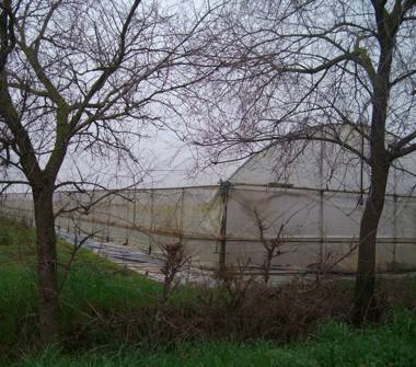 Terreno Agricolo/Coltura in vendita a Fondi, Frazione Sugarelle