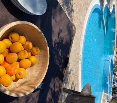 Offerta Vacanze Agriturismo a Vieste (Foggia)