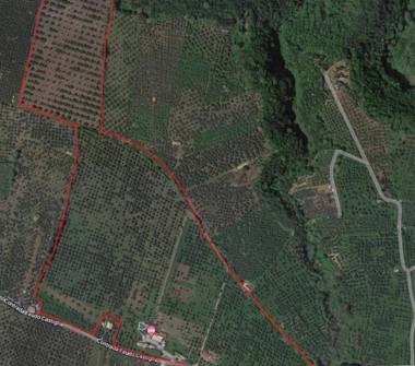 Azienda Agricola in vendita a Maida, Frazione Vena, Contrada Feudo Castiglia