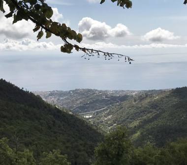 Rustico/Casale in vendita a Sanremo, Frazione San Romolo, Via Ernesto Senatore Marsaglia 0000