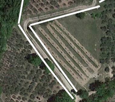 Terreno Agricolo/Coltura in vendita a Foligno, Frazione Ravignano