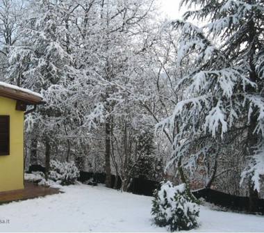 Affitto Rustico/Casale Vacanze a Acqualagna, Frazione Località Pole, Via Pole 00