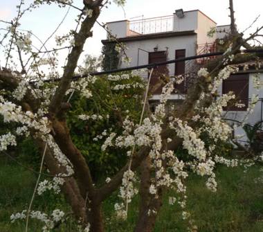 Villa in vendita a Caltanissetta, Frazione Centro città