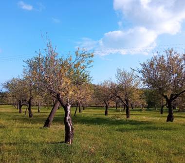 Terreno Edificabile Residenziale in vendita a Avola, Frazione Lido Di Avola