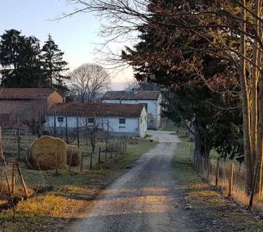 Casa indipendente in vendita a Tredozio (Forlì-Cesena)