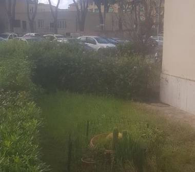 Trilocale in vendita a Livorno, Zona Corea