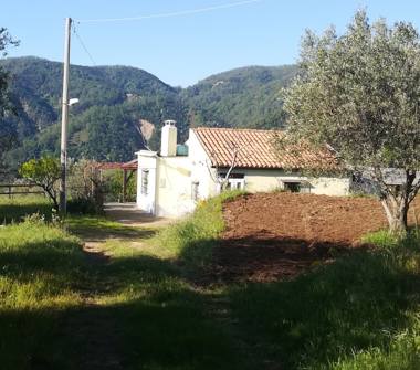 Casa indipendente in vendita a Badolato, Frazione Badolato Marina, Strada Provinciale 136