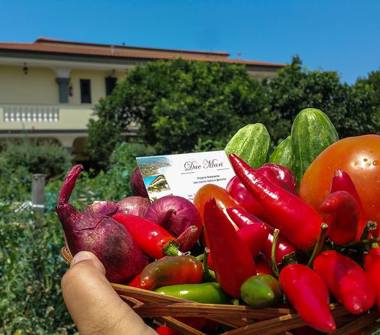 Affitto Appartamento Vacanze a Ricadi, Frazione Capo Vaticano, LOCALITA' TORRE RUFFA