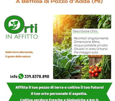 Terreno Agricolo/Coltura in affitto a Pozzo d'Adda, Frazione Bettola, Via Pietro Nenni 1