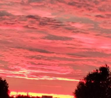 Terreno Agricolo/Coltura in vendita a Pistoia (Pistoia)