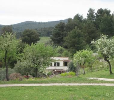 Offerta Vacanze Agriturismo a Vieste (Foggia)