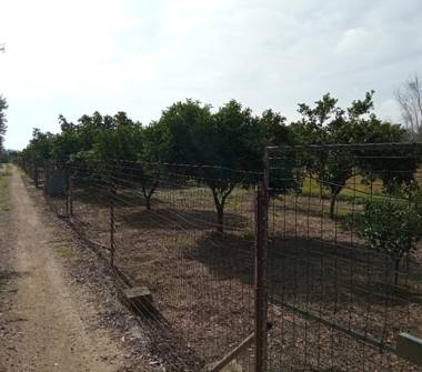 Affitto Villa Vacanze a Cutrofiano (Lecce)