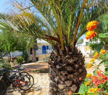 Affitto Appartamento Vacanze a Maruggio, Frazione Campomarino