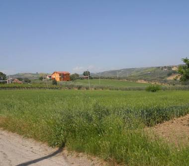Terreno Agricolo/Coltura in vendita a Vasto (Chieti)
