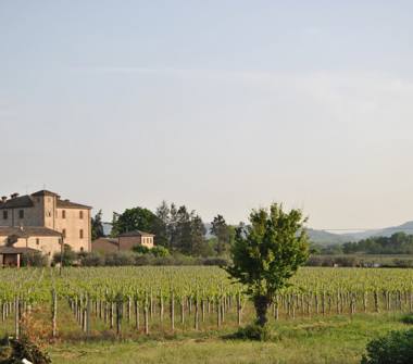 Affitto Appartamento Vacanze a San Giovanni in Marignano (Rimini), Via Mulinello 289a