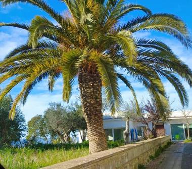 Villa in vendita a Caltanissetta (Caltanissetta), Via Poggio Sant'Elia 27