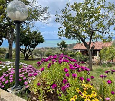 Affitto Casa Vacanze a Camerota (Salerno)