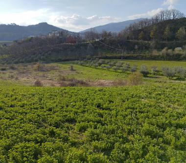 Terreno Edificabile Residenziale in vendita a Torricella Sicura, Frazione Santa Chiara, Contrada Santa Chiara 512