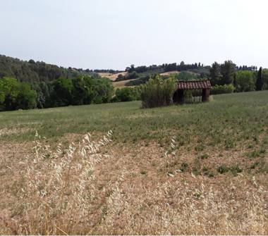 Terreno Agricolo/Coltura in vendita a Peccioli, Frazione Fabbrica, Via San Giusto 34