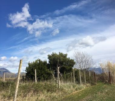 Altro in vendita a Fondi (Latina), Via Falascosa 729