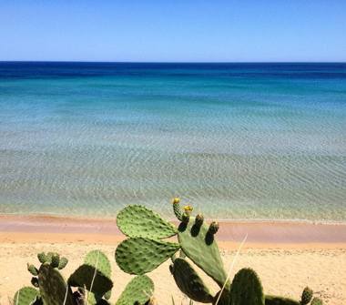 Affitto Villa Vacanze a Noto (Siracusa), Via Gaetano Martino 12