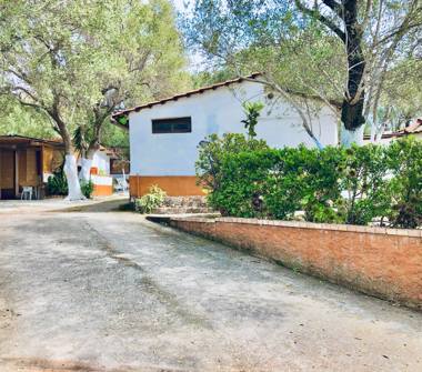 Affitto Appartamento Vacanze a Centola (Salerno), Via Saline 1