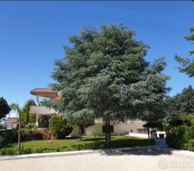 Affitto Appartamento Vacanze a Veglie (Lecce)