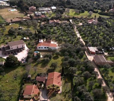 Terreno Agricolo/Coltura in vendita a Alghero (Sassari), Su Contu 1ᵃ Strada 24