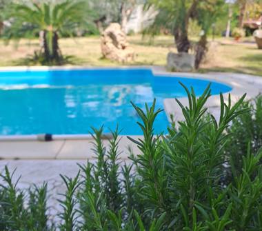 Affitto Villa Vacanze a Quartu Sant'Elena (Cagliari)