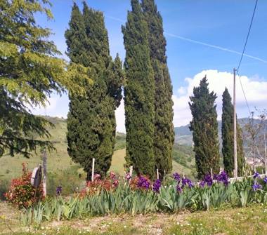 Rustico/Casale in vendita a Vergato (Bologna)