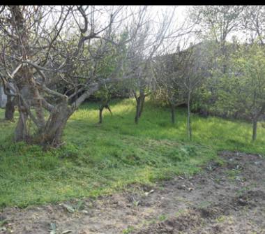 Rustico/Casale in vendita a Sant'Agata Feltria, Frazione Località Petrella Guidi Casalecchio, Località Petrella Guidi Casalecchio 9