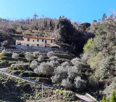 Casa indipendente in vendita a Savona (Savona)
