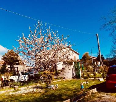 Casa indipendente in vendita a Soveria Mannelli (Catanzaro), SP68 48