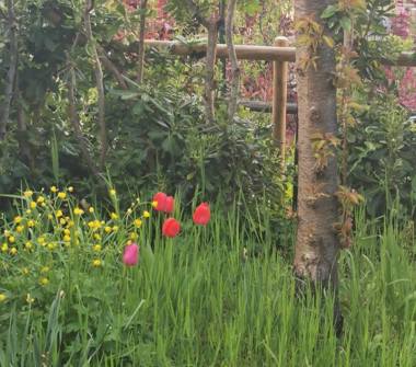 Affitto Villetta a schiera Vacanze a Monte Porzio Catone (Roma), Largo dei Furii 1