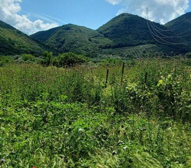 Terreno Agricolo/Coltura in vendita a Marcellina, Frazione Stazione Di Palombara-Marcellina, Stazione di Palombara Marcellina 17