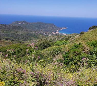 Terreno Agricolo/Coltura in vendita a Isola del Giglio, Frazione Giglio Castello, Via del Corvo 40