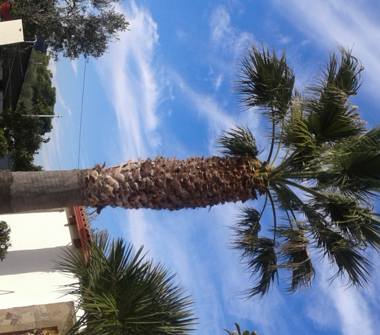 Affitto Appartamento Vacanze a Vieste (Foggia), Lungomare Enrico Mattei 97