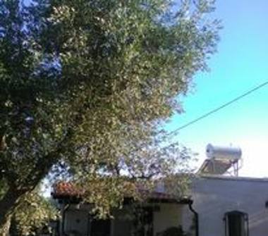 Casa indipendente in vendita a Carovigno (Brindisi), Contrada Colombo sn