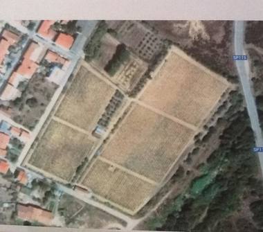 Rustico/Casale in vendita a Luogosanto (Sassari)