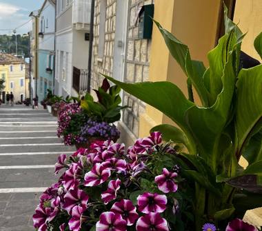 Offerta Vacanze Bed & Breakfast a Numana (Ancona)