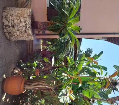 Affitto Casa Vacanze a Porto Empedocle (Agrigento)