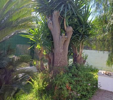 Villetta a schiera in vendita a Carovigno, Frazione Specchiolla, Via Giove 25