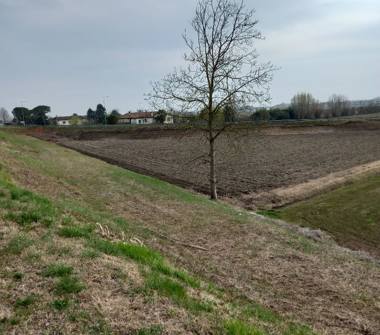 Terreno Agricolo/Coltura in vendita a San Donà di Piave, Frazione Passarella, SP47 94