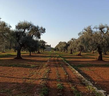Terreno Edificabile Residenziale in vendita a San Vito dei Normanni (Brindisi), contrada signoranna 99